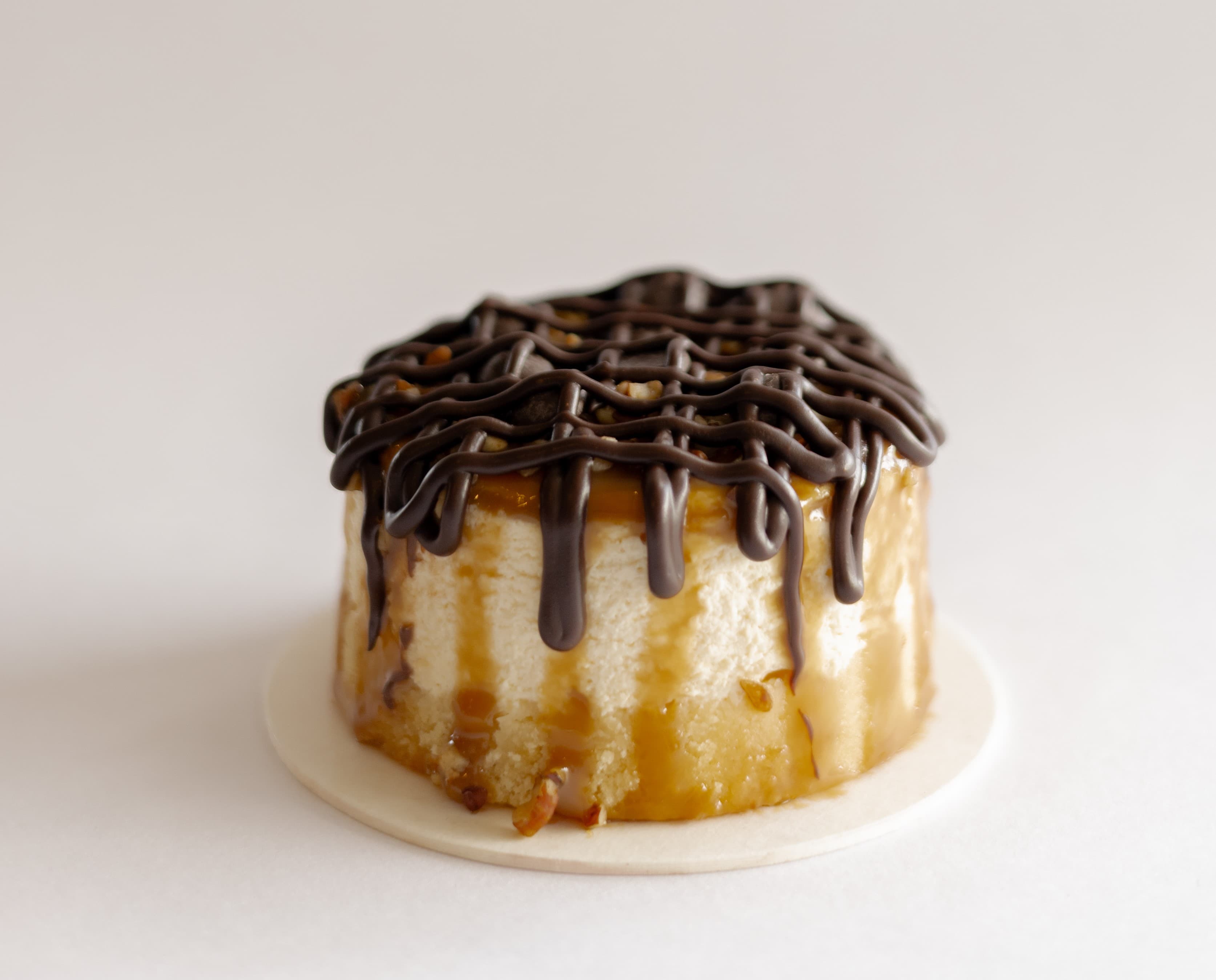 Cheesecake Tortuga